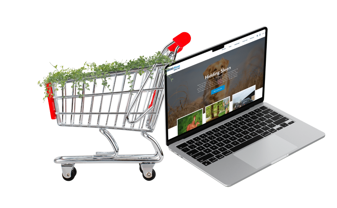 Hidding Sleen webshop