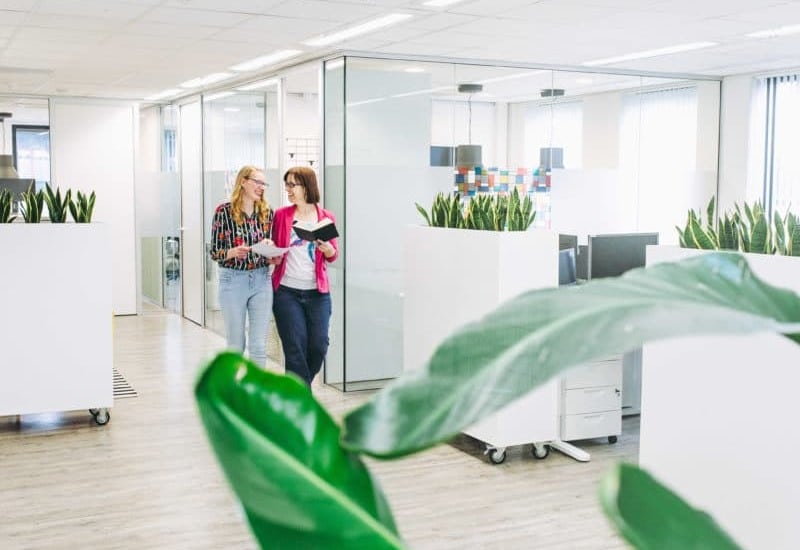 Ontwikkeling website Zorgfocuz, Enneus en Lexnova