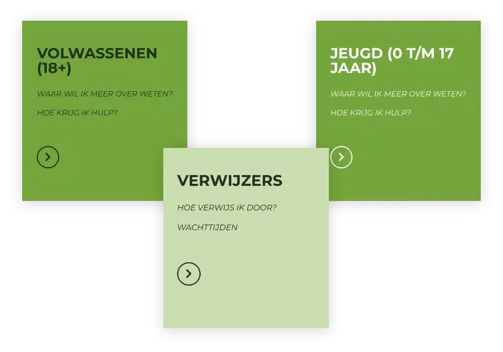 Ontwikkeling website module