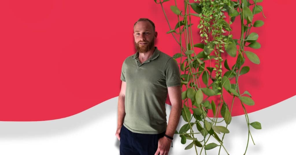 wermedia-blog-programmeur-vormgever-harm